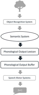 Improving lexical retrieval with LingoTalk: an app-based, self-administered treatment for clients with aphasia